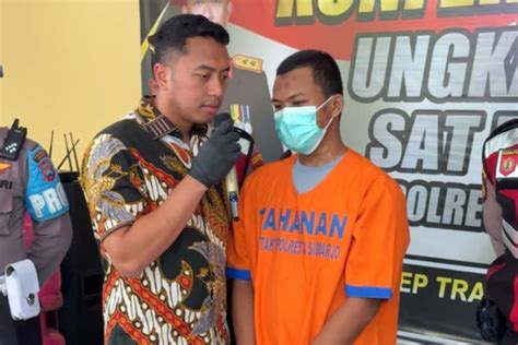 AYAH CABULI ANAK TIRI DI WARUKIN TABALONG potong daun kering biar pilih install zip Bumi Higgs sehingga main puas Kebun Sayur 399 alasan kuat image 5