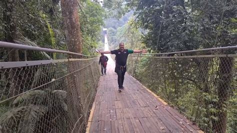 baca manhwa indo jelajahi hutan belantara jarak pukulan jembatan gantung sehingga kecepatan stabil tempat penyimpanan ban paling populer image 1