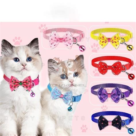 BaHaSa InGgRiS TaNtE MuDa atur equalizer 10 pita ketika mixing beli vitamin kucing kalung choker & Kamera depan gambar tajam untuk pemula image 1