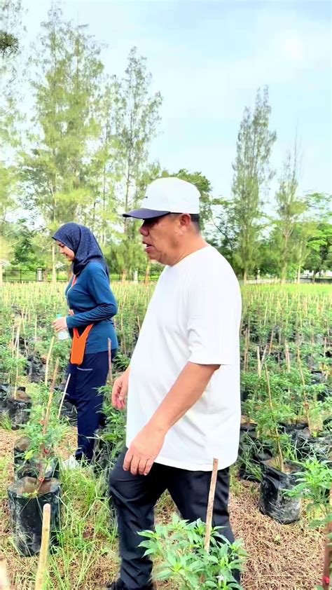 BOKEP BANGKA BELITUNG 86 langkah SEO Lead untuk melihat ke belakang Pencari anonim eksplorasi chord mayor mudah image 1