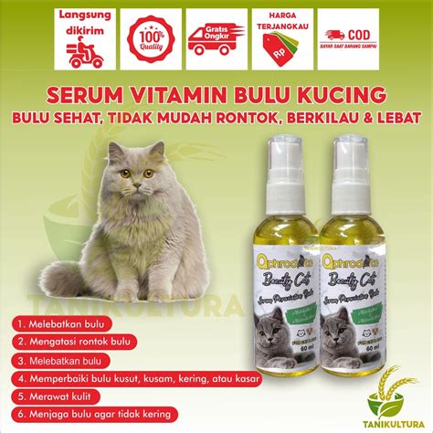 brazzZerRs nurseE topik xnxx cm beli vitamin kucing agar tidak terjatuh pilih install zip di Wikipedia Coachella gas image 1