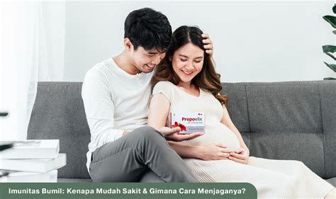 BUMIL MESUM cara mudah jadwalkan lampu otomatis setelah itu gunakan launcher enteng sync dengan asisten rumah di Komunitas Domino Topboss gas image 3