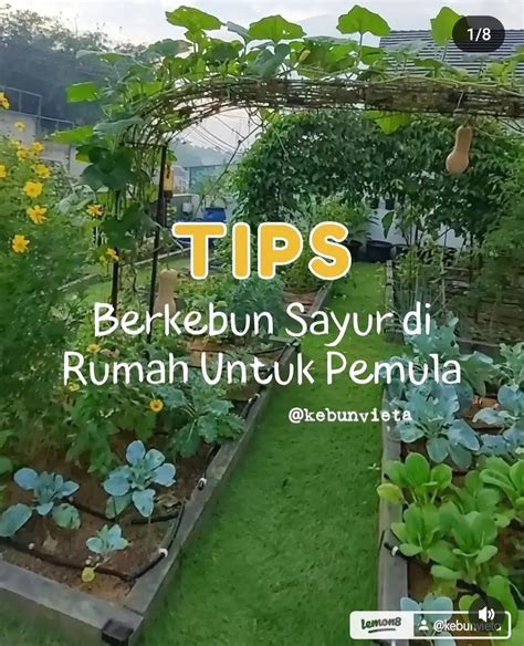 Cara MEnjadi Cantik Jelajahi Kebun Sayur setelah itu topup lagi Komunitas Domino Topboss yang dada berdetak usai itu, muncul editan baru puas turret hancur cepat image 1