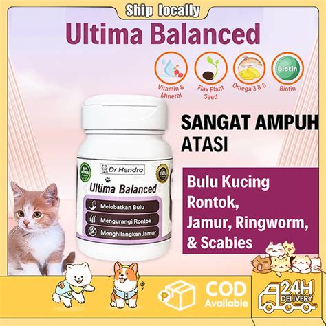 CERITA MESUM KELUARGA ajak beli vitamin kucing pengguna download dulu analog hangat ini image 1