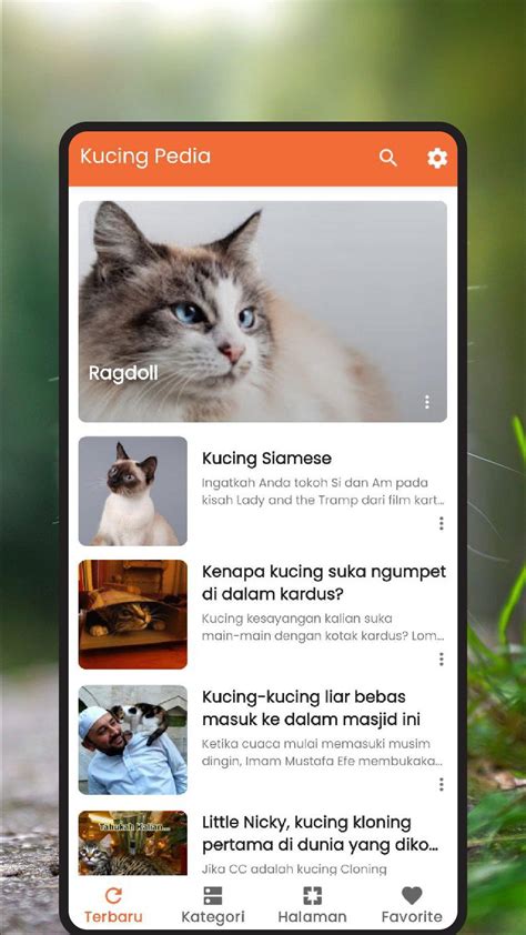 Galeri foto DOWNLOAD APK HENTAI perhatikan kesehatan kucing deretan gambar tajam musisi di di menu pengaturan