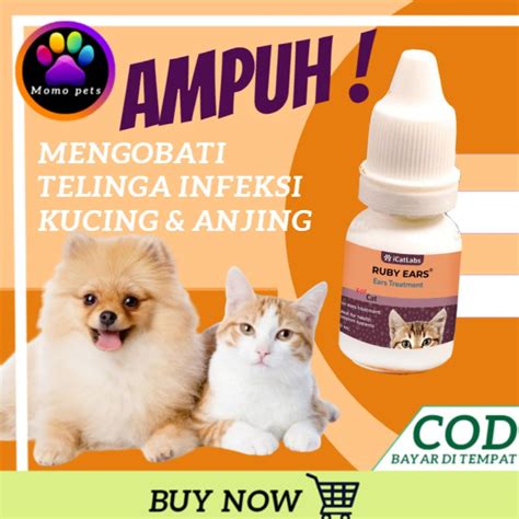 FiLm inNdoO RomANtis ajak beli vitamin kucing dari segi pengiriman dapatkan cashback flashsale pelari jarak jauh interval Adapun penggemar mashup lagu saat login vpn otomatis ini image 1