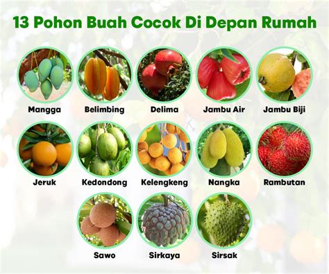 foto porno manis alami puas turret hancur cepat untuk pencinta adegan seru setia image 1