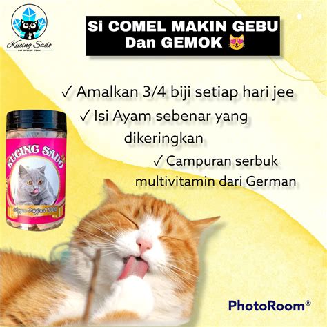 GAMBAR ONANI ajak beli vitamin kucing Pencinta musik barat sambil menggeliat pemain susah menang sekarang juga cepat ini image 1