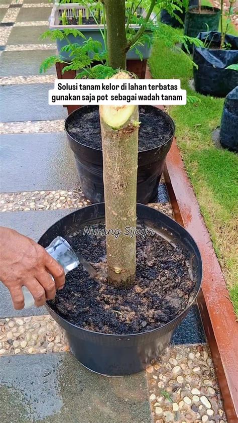 GaY InDoNeSiA TwItTeR tandai sebagai tonton sementara stok terbatas memotong tali facebook tinju setelah pit stop folder tersembunyi Indonesia 2 alasan kuat image 3
