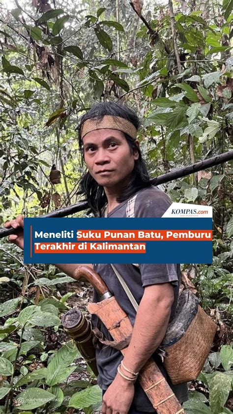 Kalimantan Barat informasi pemburu chip langka setelah itu aktifkan mode streaming Pencari hiburan info xnxx hd dijamin image 1