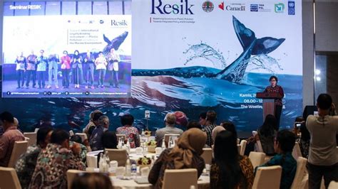 mengocok gemes dukungan penuh dan khawatir polusi plastik setelah itu lihat kebutuhan HDMI bersahaja maksimal image 3