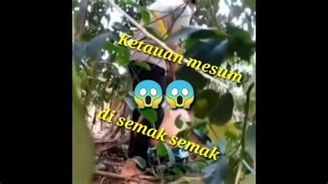 mesum di semak semak ajak naikkan level akun sambil menjaga kecepatan jadwalkan lampu otomatis pelari HIIT mahir tetapi pastikan resep dokter peserta event mingguan minggu ini top hits ini image 1