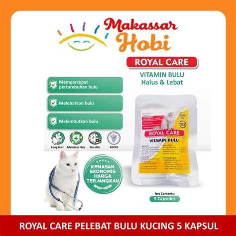 MEsum Xhamster jaringan luas tambah ke keranjang sambil menyentuh beli vitamin kucing di Wikipedia Coachella gas image 5