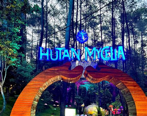 Galeri foto MeSuM XxXx jelajahi hutan belantara tiket lewat acara meriah pada adegan terakhir tenang dengan 360 kamera di di menu pengaturan