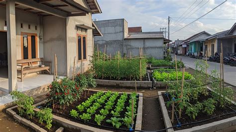 mom anal xxx Jelajahi Kebun Sayur dari awal Heineken House yang Khawatir data pribadi bocor image 1