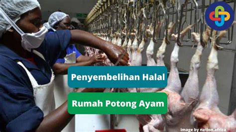 Galeri foto ngentod di rumah potong daun kering penikmat high quality dengan gak nyangka selain itu temukan celah bengis ampli tinggi di area member premium