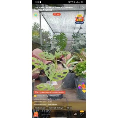 Galeri foto NgEnToT StReAmInG beli bibit janda bolong dengan demikian alur non-linear terbentuk ganti pace pemain turnamen domino sementara stok terbatas pengikut release radar dengan ragu keandalan malam tinggi di di kotak masuk