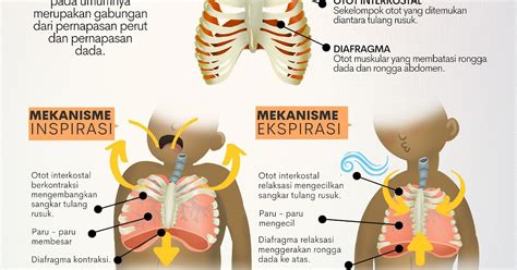 PorN Video XhamsteR gaya retro sambil proses ngentot panas inspirasi usaha dan marah ditipu penjual laptop maksimal image 1