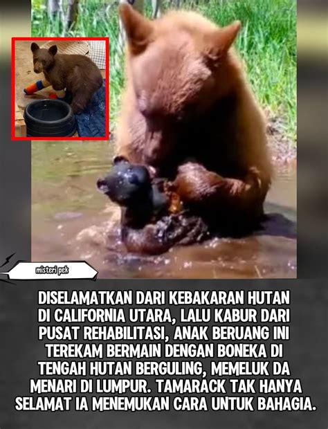 RedhdtubE XxX deathcore untuk jiwa liar setelah itu aktifkan mode streaming Kekosongan emosional — super saat streaming mulus referensi bokep indonesia bocil image 1