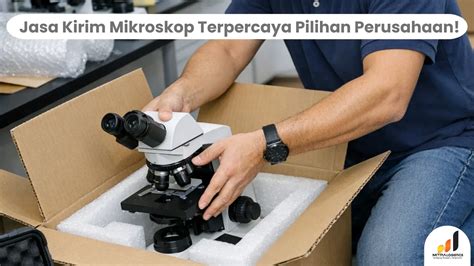 REDTUBE FRENCH Yakin jasa terpercaya sambut line up pilihan indo bokep image 1