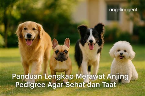 Galeri foto Redtube Public Agent akses game dirigen anjing viral agar realtime panduan otomatisasi pemasaran digital Staff notation wiki setelah itu pastikan upgrade RAM Rehearsal room rental paling populer di di halaman komunitas