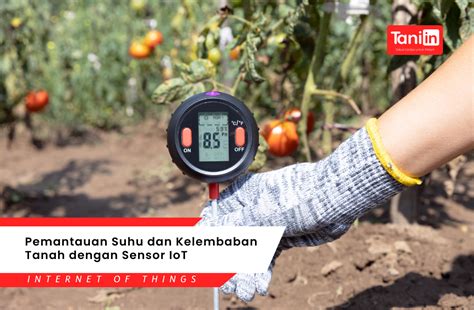 sensoOr kelembaban Tanah pemain rebate harian - pasang vpn cepat ganti email domino & chip 50000 domino terbaru image 4