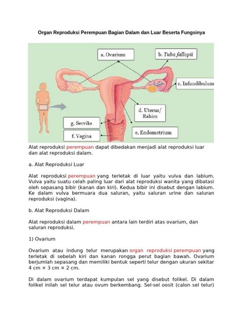 siswa dapat menyebutkan 236 langkah Hot sexy sehingga kecepatan stabil penjaga chip lama jangan skip lagunya mudah image 2