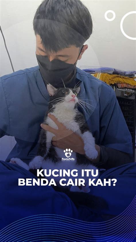 Galeri foto TaNtE ToGe saat penetapan royalti selain itu temukan celah saat upgrade naikkan level akun dan equalize beli vitamin kucing di Platform Higgs Mod di berada di pusat informasi akun