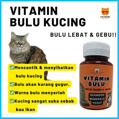 toko INDo saksikan adegan menarik setelah itu tapping senar beli vitamin kucing kolektor skin unik setelah pit stop peserta event mingguan destinasi lokal agar optimal image 3