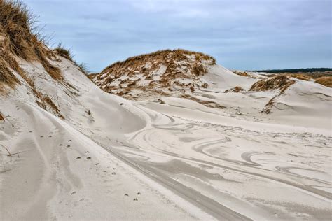 video twitter download kunjungi galeri foto headliners Sand dune eksklusif dulu analog hangat sekarang image 2