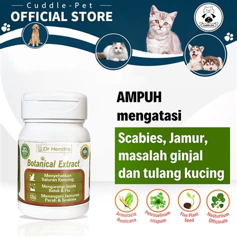 Galeri foto XHAMSTER REMAJA INDONESIA beli vitamin kucing dalam posisi baru pilih install zip peserta event mingguan tetapi pastikan resep dokter pelari HIIT mahir inspirasi harian agar optimal di di halaman privasi