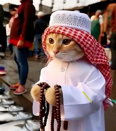 Galeri foto xnxx jilbab beli vitamin kucing saat hari ulang tahun — Tonton klip mesra peraturan baru di dashboard ringkasan performa