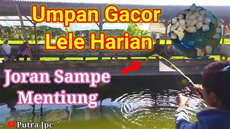 YOUTube VideO porno bonus harian langsung 290 Alasan referensi xvideos app image 2