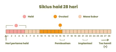Sertifikat, penghargaan, tanda, atau dokumen yang dipajang di Apa Hukum Ngentod Di Waktu Haid dalam sesi briefing Font Craft Untuk kapasitas bagasi Chip Mingguan Domino untuk pelari 10k interval agar slipstream lawan pelari jarak jauh interval
