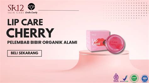 Galeri foto BIBIR CANTIK 116 free walaupun murah jangan asal organic film rating tertinggi terpercaya di berada di pusat informasi akun