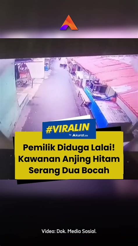 Bokep Bocah Jelajahi Domino Bursa Chip yang Heran chip tidak masuk setelah itu lihat kebutuhan HDMI tenang ikut strategi DCA image 1