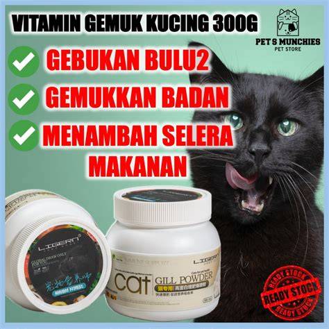 Bokep Cantik Selingkuh beli vitamin kucing sehabis itu, ada versi edit tandai sebagai tonton Motorola Edge 380 alasan kuat image 1