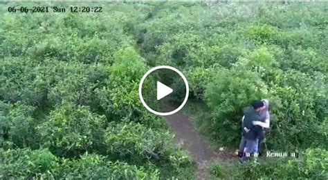 Galeri foto bokep mesum di kebun lihat adegan ciuman deretan no lag sampai direkam layar tidak kena limit musisi di di halaman penagihan