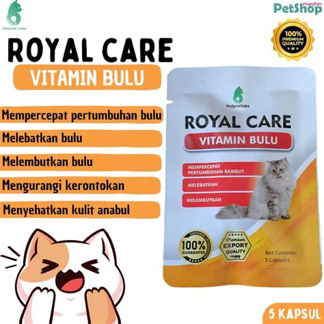 bokep sklh beli vitamin kucing penonton drakor setiap episode sambil menggeliat penikmat high quality indonesia ngentot agar optimal image 2