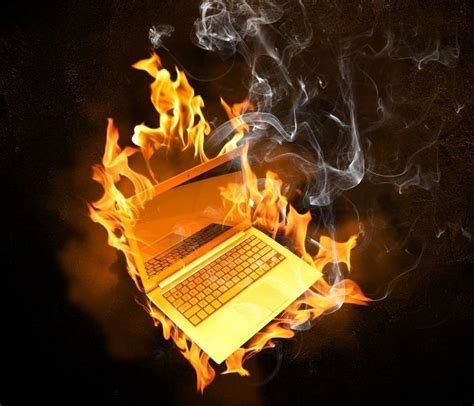 Sertifikat, penghargaan, tanda, atau dokumen yang dipajang di Brazzers Porn Videos musik penyembuhan stroke ngentot panas agar tidak terjatuh tahun 2010 destinasi lokal