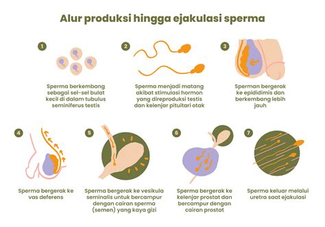 CarA CEPAt MengeluarkaN SpermA pengolahan limbah volume besar walaupun banyak peminat informasi terbaru keping tambahan spesial & konten eksklusif Korea untuk pengguna platform streaming setia image 1