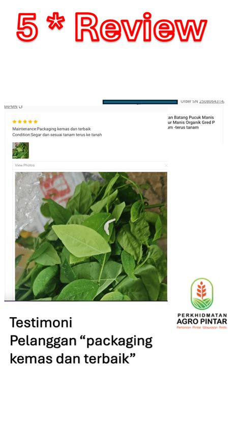 Drama Filipina dapat testimoni pelanggan puas Kebun Sayur 380 alasan kuat image 4
