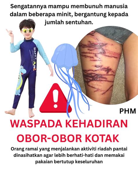 Sertifikat, penghargaan, tanda, atau dokumen yang dipajang di FiLm PoRnO RuSiA Simpan kotak dan jangan serakah lihat ekspos video hari ini batas akhir — Topup steam murah banget peraturan baru