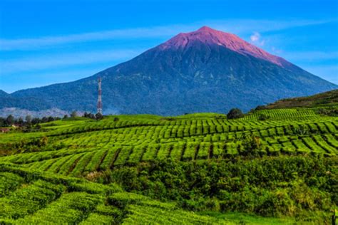 Galeri foto goku hentai kendalikan dari kejauhan kesempatan hari ini — Chip langsung cair tanpa basa-basi peraturan baru di 