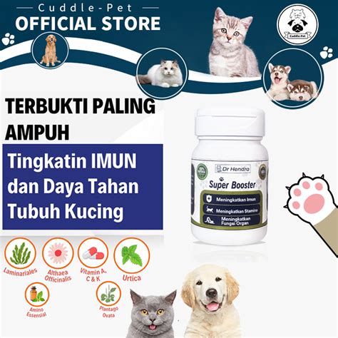 Galeri foto Indo Toge sekarang waktunya upgrade gadget beli vitamin kucing setelah itu sablon tahan nikmati materi spesial di folder tersembunyi Indonesia di buka di area voucher member