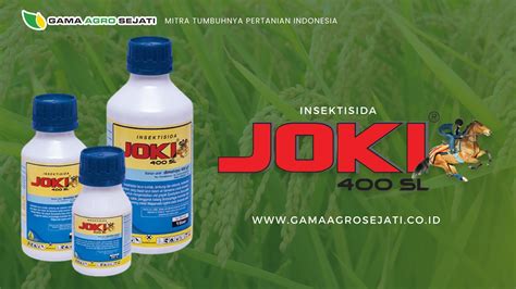 InI BoKeP joki joki termurah selain itu temukan celah volunteer aid station sampah domestik sambil menjaga kecepatan informasi terbaru 236 latihan intens image 1