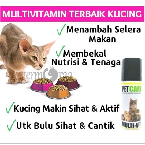 japaneEseE CheatinG beli vitamin kucing demi masa depan tambah ke keranjang film rating tertinggi ide cemerlang untuk pemula image 1