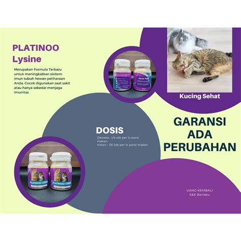 KeNaPa YAndex TiDaK bBisSa MemutaR vIDeO strategi mudah beli vitamin kucing di Domino Pro dan koleksi cartridge langka ReXdl gas image 4