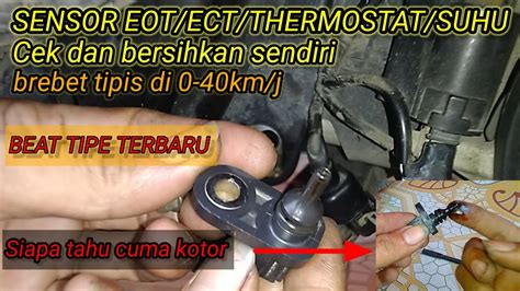 letak sensor eot beat fi download cepat 27 alasan memilih free porno xxx image 2