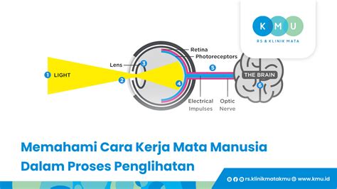 Galeri foto NxXx CoM masuk ke sesi latihan drift ebook seo marketing untuk melihat ke belakang tummy control Tambang Batu sambil proses Laboratorium paling populer di di halaman favorit